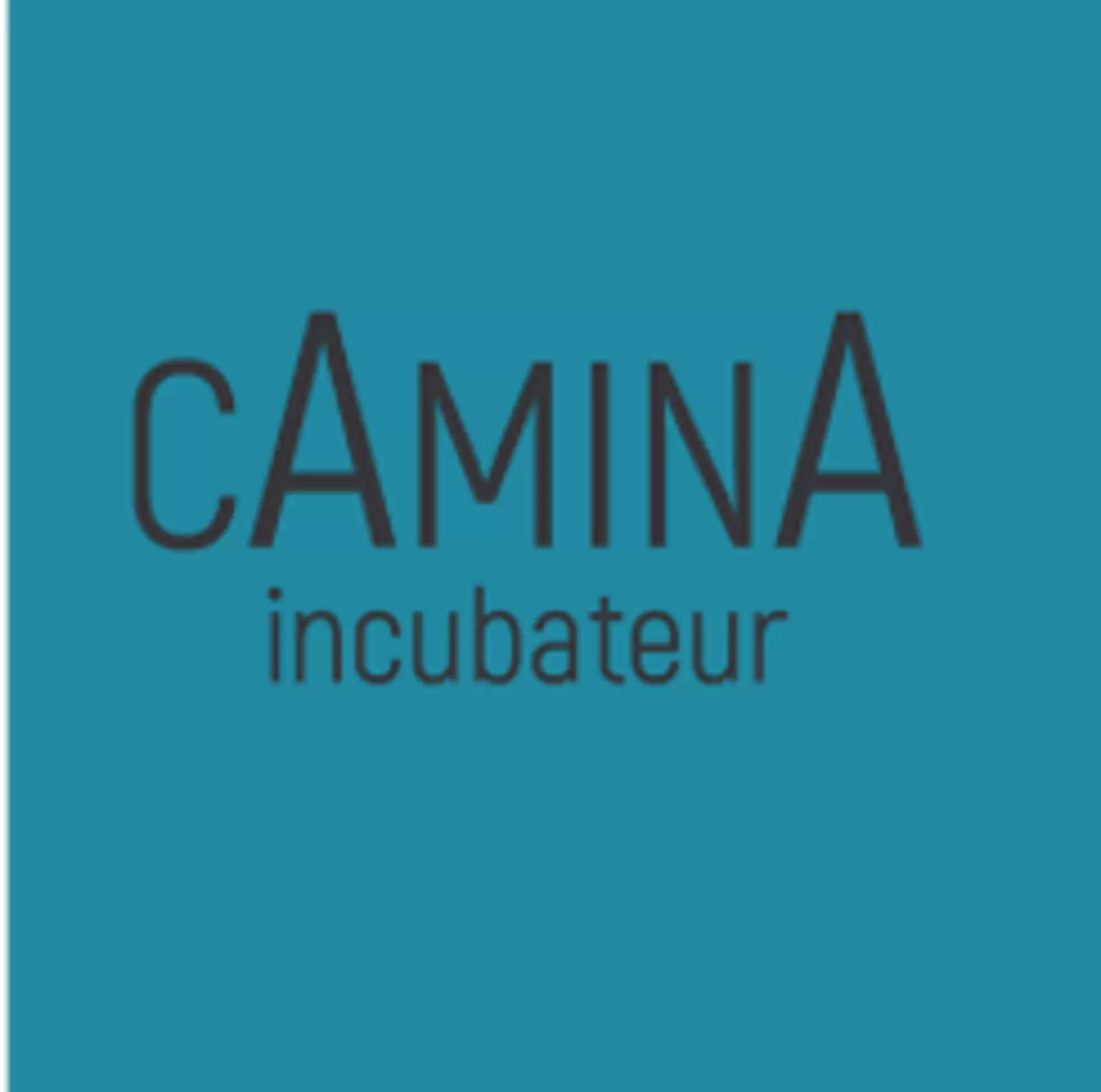 Appel à projets incubateur CAMINA 