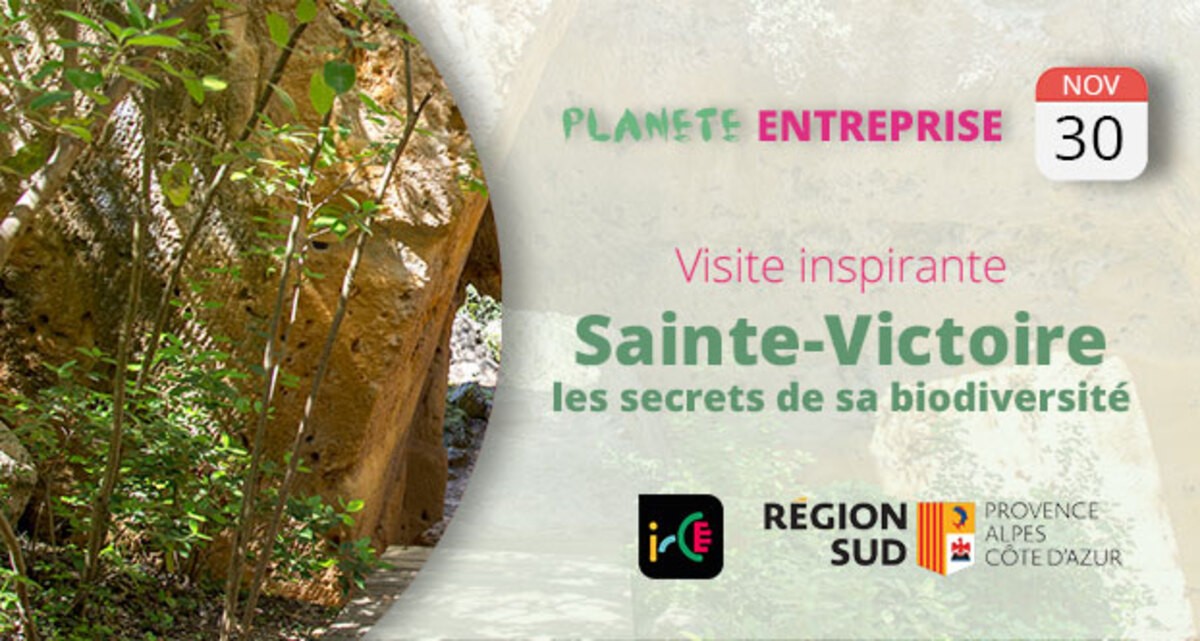 Visite inspirante : Sainte-Victoire, les secrets de sa biodiversité