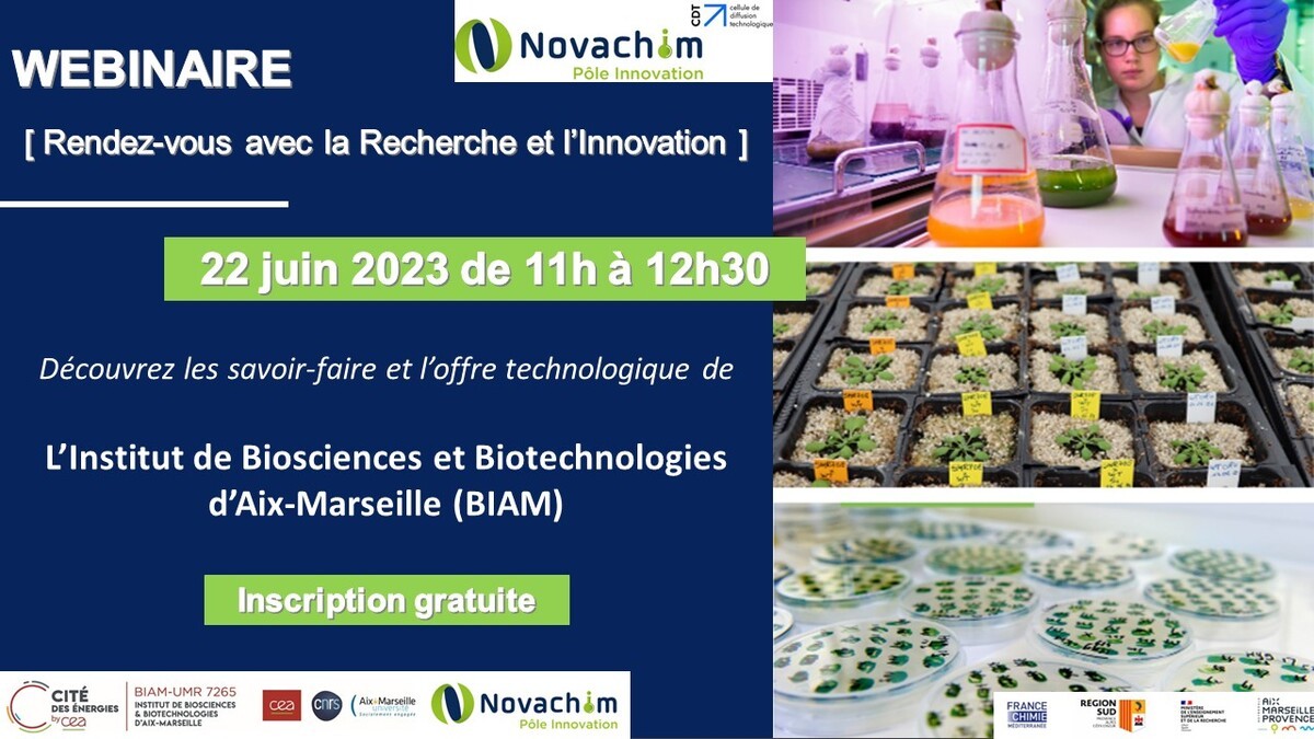 [WEBINAIRE] Découvrez l'offre scientifique & technologique de l'Institut de Biosciences et Biotechnologies d'Aix-Marseille (BIAM)